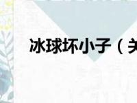 冰球坏小子（关于冰球坏小子的简介）