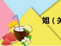 姐（关于姐的简介）