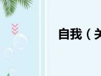 自我（关于自我的简介）
