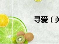 寻爱（关于寻爱的简介）