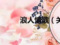 浪人情歌（关于浪人情歌的简介）