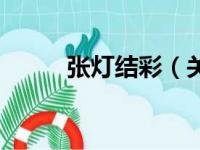 张灯结彩（关于张灯结彩的简介）