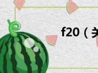 f20（关于f20的简介）