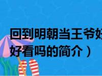 回到明朝当王爷好看吗（关于回到明朝当王爷好看吗的简介）