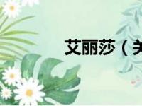 艾丽莎（关于艾丽莎的简介）