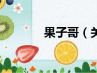 果子哥（关于果子哥的简介）