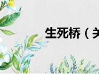 生死桥（关于生死桥的简介）