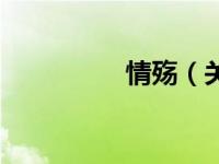 情殇（关于情殇的简介）