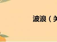 波浪（关于波浪的简介）