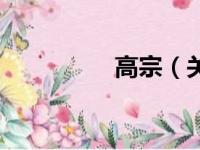 高宗（关于高宗的简介）