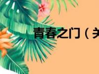 青春之门（关于青春之门的简介）