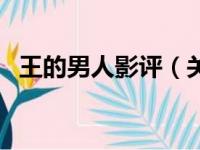 王的男人影评（关于王的男人影评的简介）
