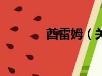 酋雷姆（关于酋雷姆的简介）