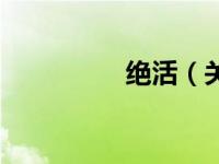 绝活（关于绝活的简介）