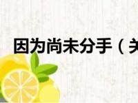 因为尚未分手（关于因为尚未分手的简介）