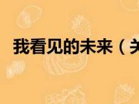 我看见的未来（关于我看见的未来的简介）