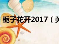 栀子花开2017（关于栀子花开2017的简介）