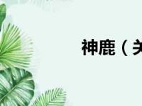 神鹿（关于神鹿的简介）