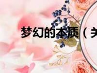 梦幻的本质（关于梦幻的本质的简介）