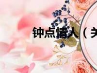 钟点情人（关于钟点情人的简介）