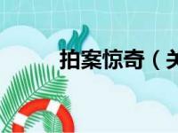 拍案惊奇（关于拍案惊奇的简介）