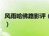 风雨哈佛路影评（关于风雨哈佛路影评的简介）