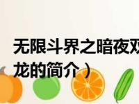 无限斗界之暗夜双龙（关于无限斗界之暗夜双龙的简介）