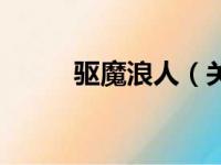 驱魔浪人（关于驱魔浪人的简介）