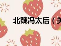 北魏冯太后（关于北魏冯太后的简介）