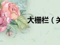 大栅栏（关于大栅栏的简介）
