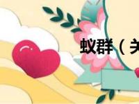 蚁群（关于蚁群的简介）