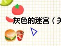 灰色的迷宫（关于灰色的迷宫的简介）