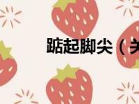 踮起脚尖（关于踮起脚尖的简介）