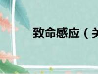 致命感应（关于致命感应的简介）