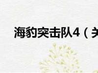 海豹突击队4（关于海豹突击队4的简介）