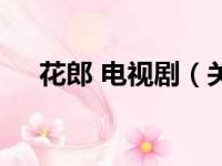 花郎 电视剧（关于花郎 电视剧的简介）