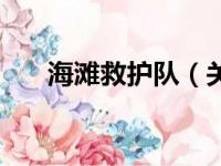 海滩救护队（关于海滩救护队的简介）