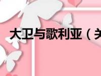 大卫与歌利亚（关于大卫与歌利亚的简介）