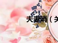 夫妻哨（关于夫妻哨的简介）