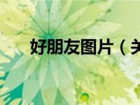好朋友图片（关于好朋友图片的简介）