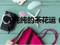 许纯纯的茶花运（关于许纯纯的茶花运的简介）