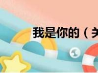 我是你的（关于我是你的的简介）