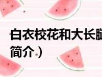 白衣校花和大长腿（关于白衣校花和大长腿的简介）