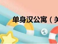 单身汉公寓（关于单身汉公寓的简介）