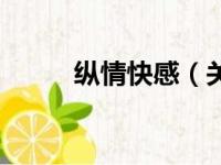 纵情快感（关于纵情快感的简介）