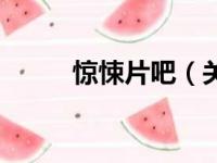 惊悚片吧（关于惊悚片吧的简介）