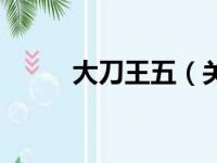 大刀王五（关于大刀王五的简介）
