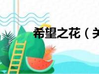 希望之花（关于希望之花的简介）