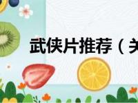 武侠片推荐（关于武侠片推荐的简介）