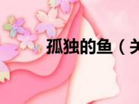 孤独的鱼（关于孤独的鱼的简介）